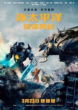 雾中信号电影封面